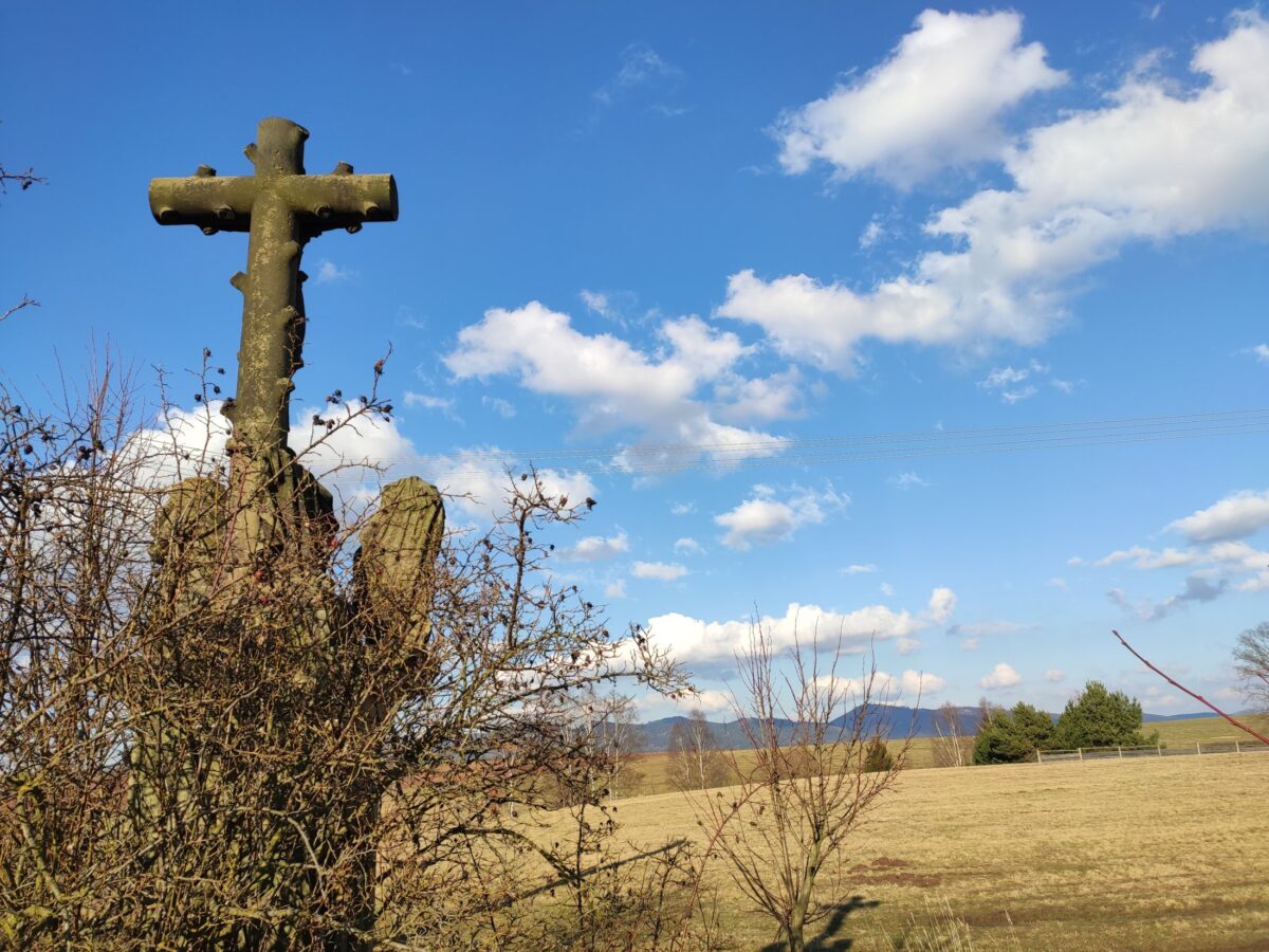 Javoří hory od Vernéřovic