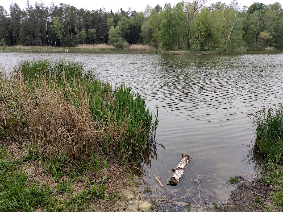 do lesa a k vodě nad Hradec