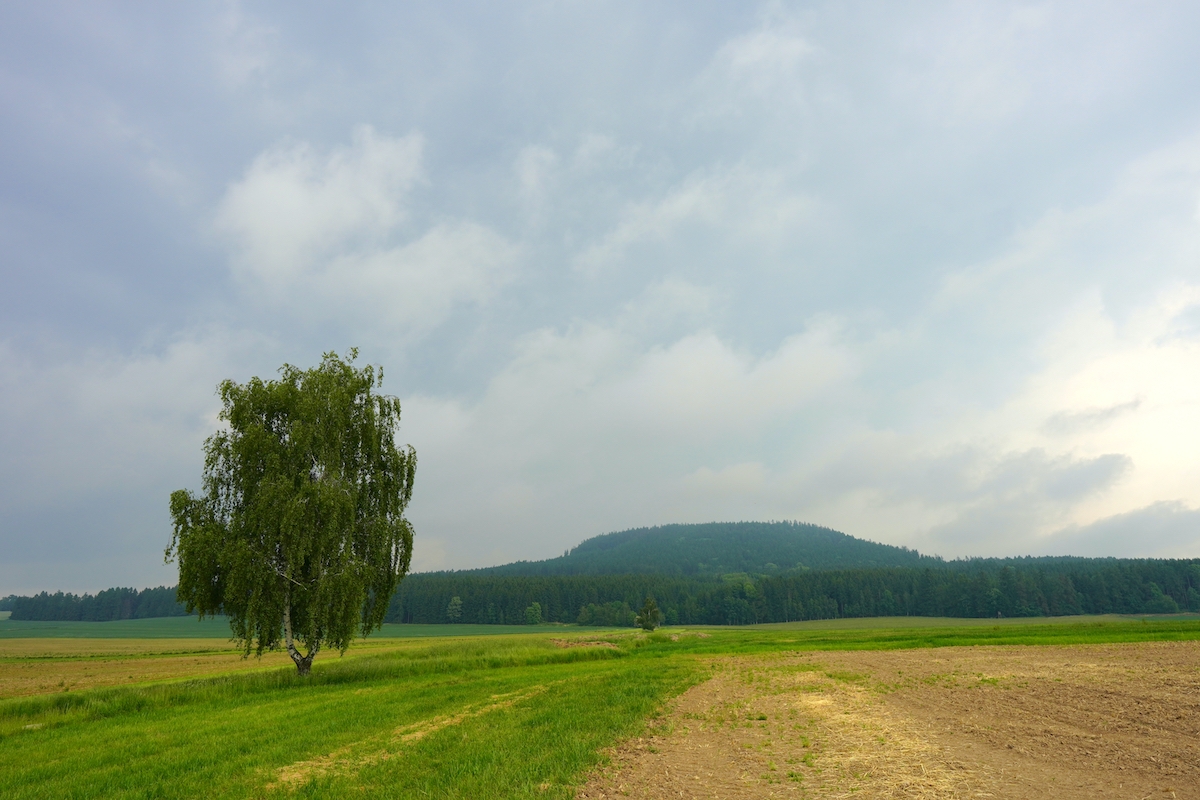 na Ostaš a Kočičí hrad