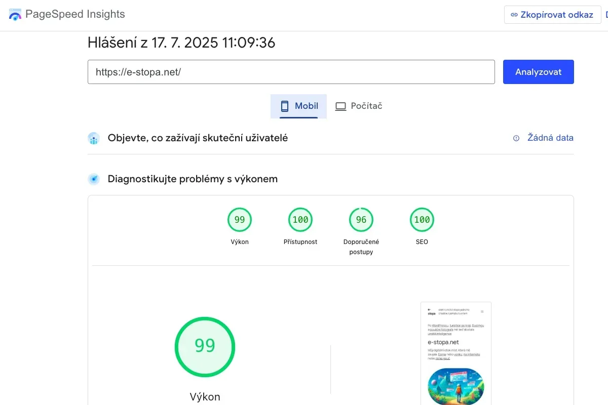 PageSpeed a rady DeepSeek