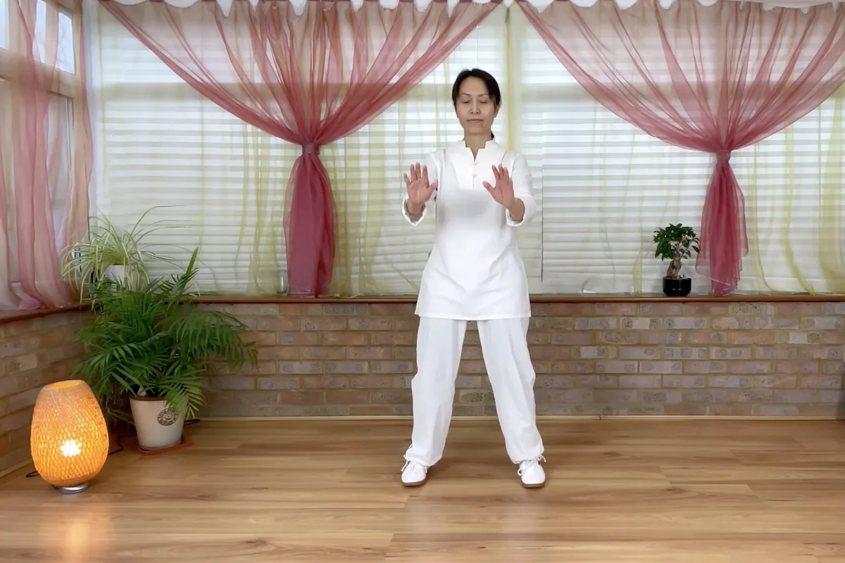 taiči Yang styl 8 forem