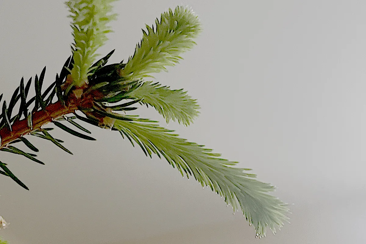 zimní internetová inventura – phishing pryč, nový hosting, sdílení záložek a komentáře 1 zimní internetová inventura – phishing pryč, nový hosting, sdílení záložek a komentáře