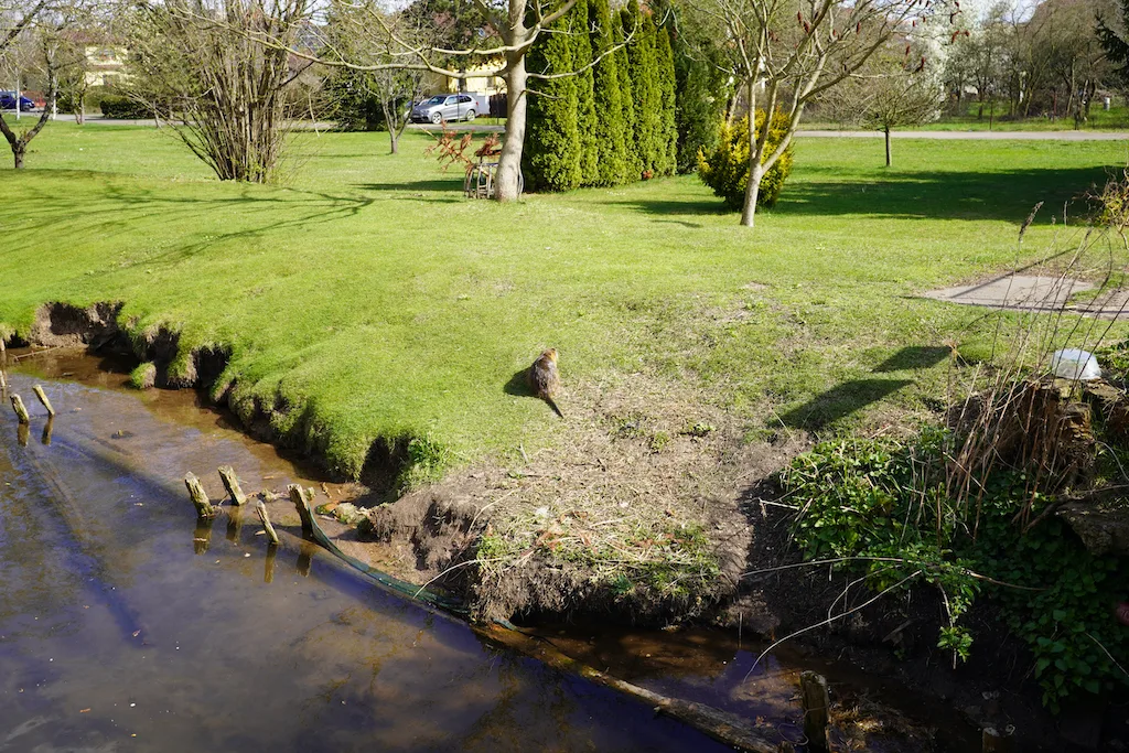 Kukleny a Velikonoce