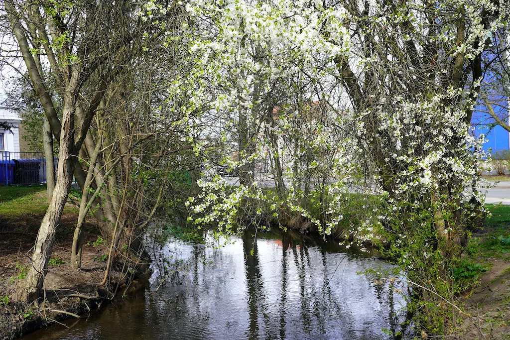 Kukleny a Velikonoce